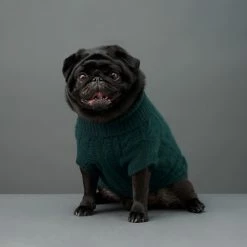 The Barkers Green Fido Turtleneck Wear