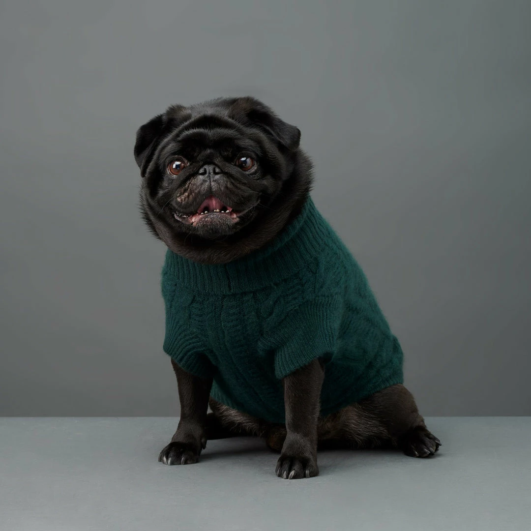 Outlet ๐ The Barkers Green Fido Turtleneck Wear โ 4 The Barkers Green Fido Turtleneck Wear
