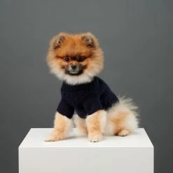 The Barkers Navy Fido Turtleneck