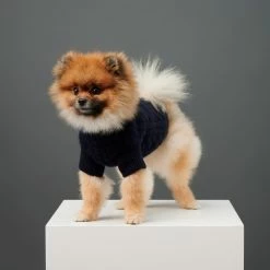The Barkers Navy Fido Turtleneck