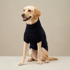 The Barkers Navy Fido Turtleneck