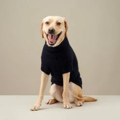 The Barkers Navy Fido Turtleneck