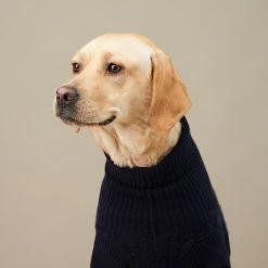 The Barkers Navy Fido Turtleneck