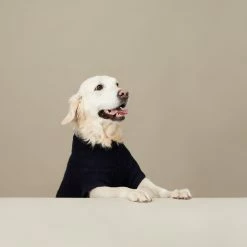 The Barkers Navy Fido Turtleneck