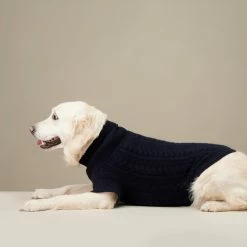 The Barkers Navy Fido Turtleneck