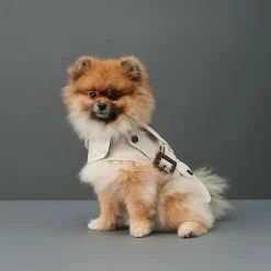 The Barkers Outerwear Khaki Rex Trench Coat