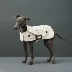 The Barkers Outerwear Khaki Rex Trench Coat