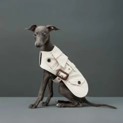 The Barkers Outerwear Khaki Rex Trench Coat