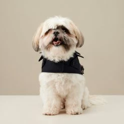 The Barkers Navy Rex Trench Coat