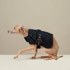 The Barkers Navy Rex Trench Coat