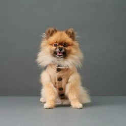 The Barkers Camel Duke Puffer Vest