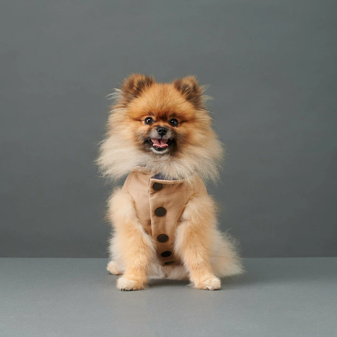 Flash Sale ✔️ The Barkers Camel Duke Puffer Vest ⭐ 3 The Barkers Camel Duke Puffer Vest