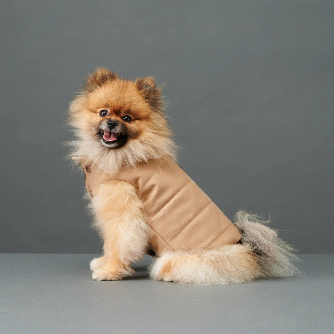 Flash Sale ✔️ The Barkers Camel Duke Puffer Vest ⭐ 4 The Barkers Camel Duke Puffer Vest