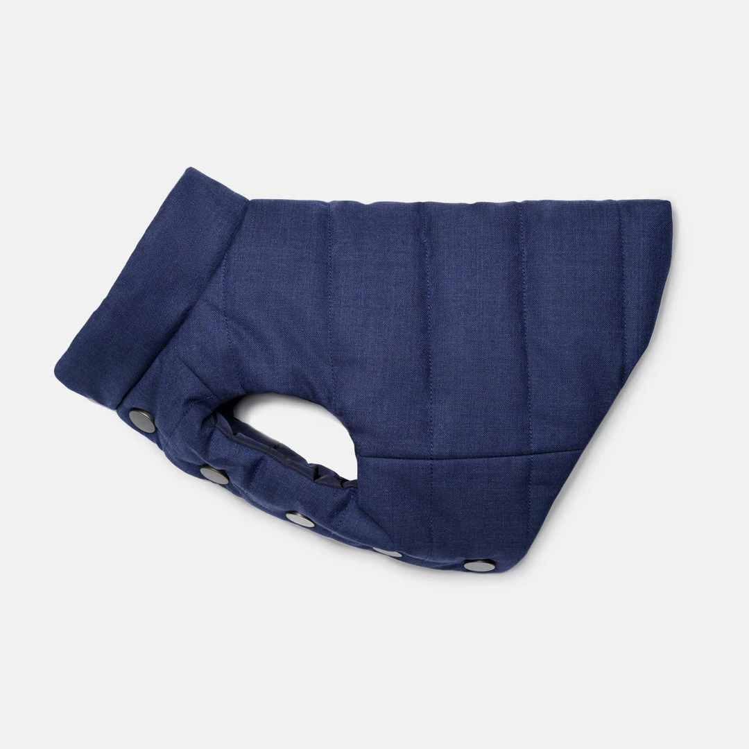 Coupon ๐ The Barkers Blue Duke Puffer Vest Outerwear โญ 5 The Barkers Blue Duke Puffer Vest Outerwear