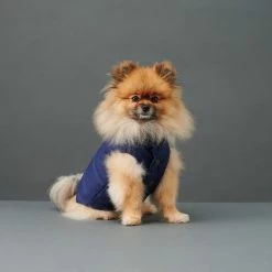 The Barkers Blue Duke Puffer Vest Outerwear