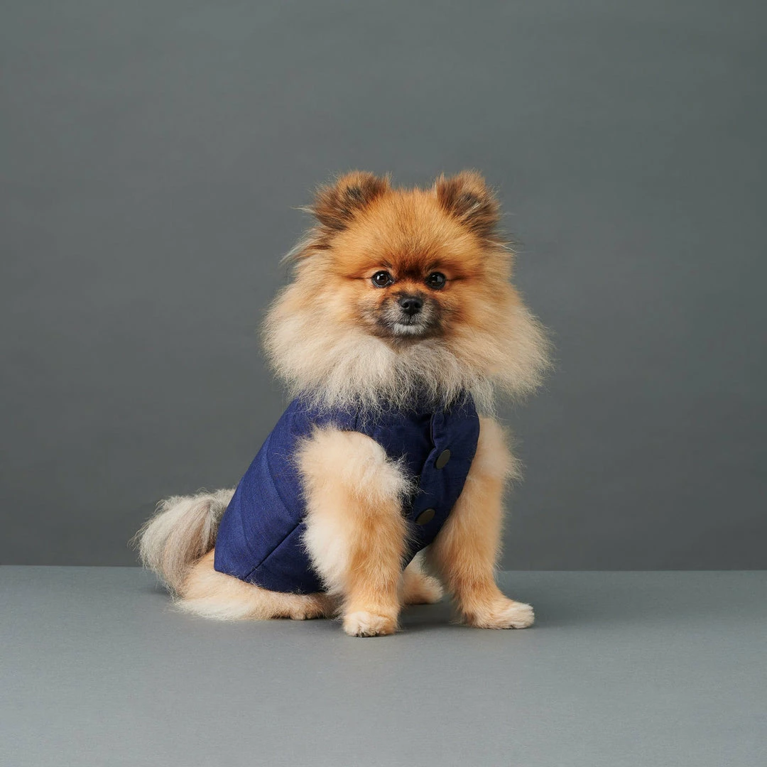 Coupon ๐ The Barkers Blue Duke Puffer Vest Outerwear โญ 3 The Barkers Blue Duke Puffer Vest Outerwear