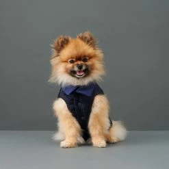 The Barkers Blue Duke Puffer Vest Outerwear