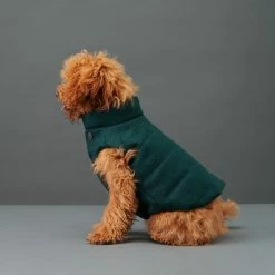 The Barkers Emerald Duke Puffer Vest Outerwear