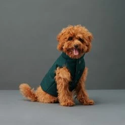 The Barkers Emerald Duke Puffer Vest Outerwear