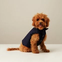 The Barkers Outerwear Navy Duke Puffer Vest