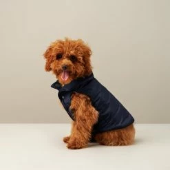 The Barkers Outerwear Navy Duke Puffer Vest