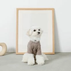 Mon Cheri Simple Piping Pullover Brown