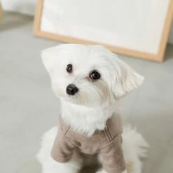 Mon Cheri Simple Piping Pullover Brown