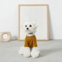 Mon Cheri Simple Piping Pullover Mustard Wear