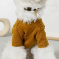 Mon Cheri Simple Piping Pullover Mustard Wear