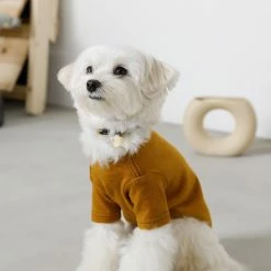 Mon Cheri Simple Piping Pullover Mustard Wear