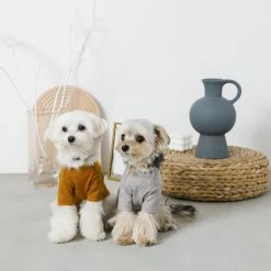 Mon Cheri Simple Piping Pullover Mustard Wear