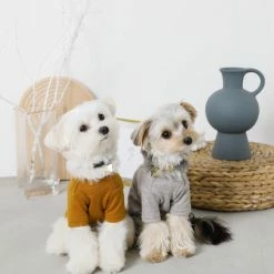 Mon Cheri Simple Piping Pullover Mustard Wear