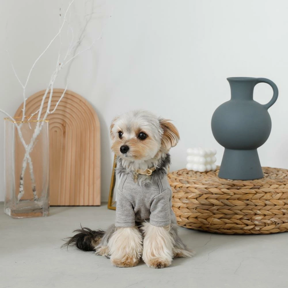 Coupon ❤️ Mon Cheri Simple Piping Pullover Grey ✨ 6 Mon Cheri Simple Piping Pullover Grey