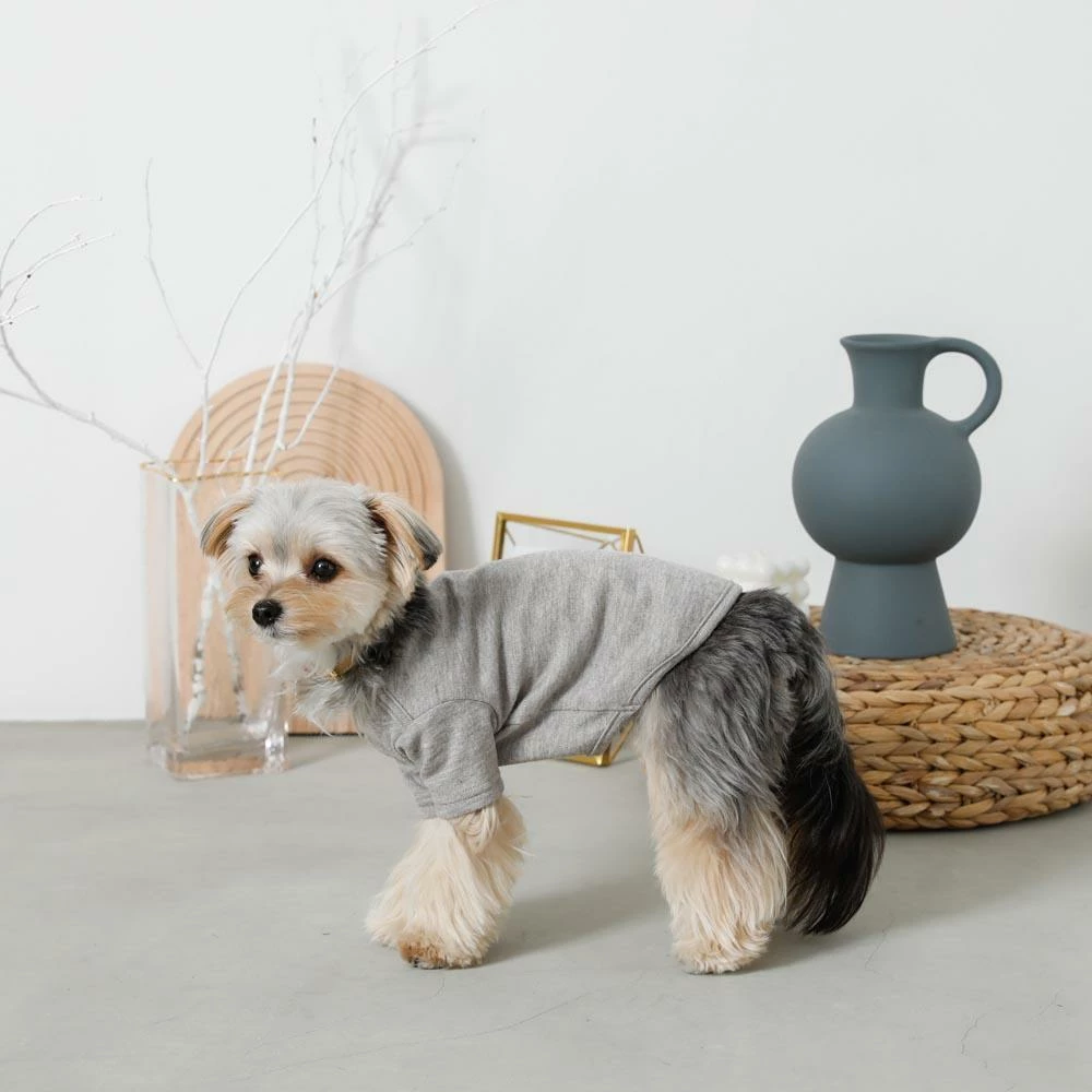 Coupon ❤️ Mon Cheri Simple Piping Pullover Grey ✨ 4 Mon Cheri Simple Piping Pullover Grey