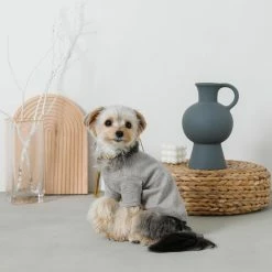 Coupon ❤️ Mon Cheri Simple Piping Pullover Grey ✨ 14 Mon Cheri Simple Piping Pullover Grey