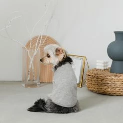 Coupon ❤️ Mon Cheri Simple Piping Pullover Grey ✨ 15 Mon Cheri Simple Piping Pullover Grey