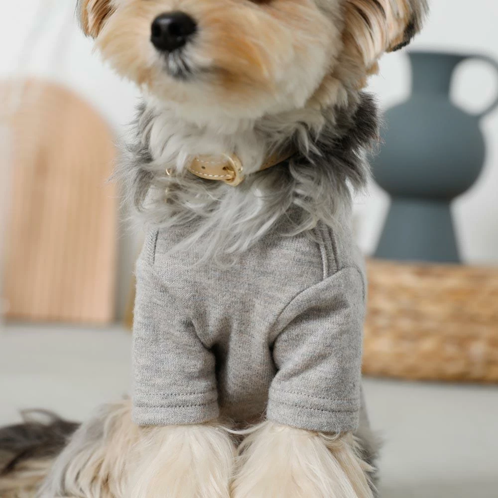 Coupon ❤️ Mon Cheri Simple Piping Pullover Grey ✨ 9 Mon Cheri Simple Piping Pullover Grey