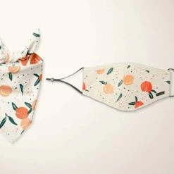 Goodboy Face Mask And Dog Bandana Set Orange Style