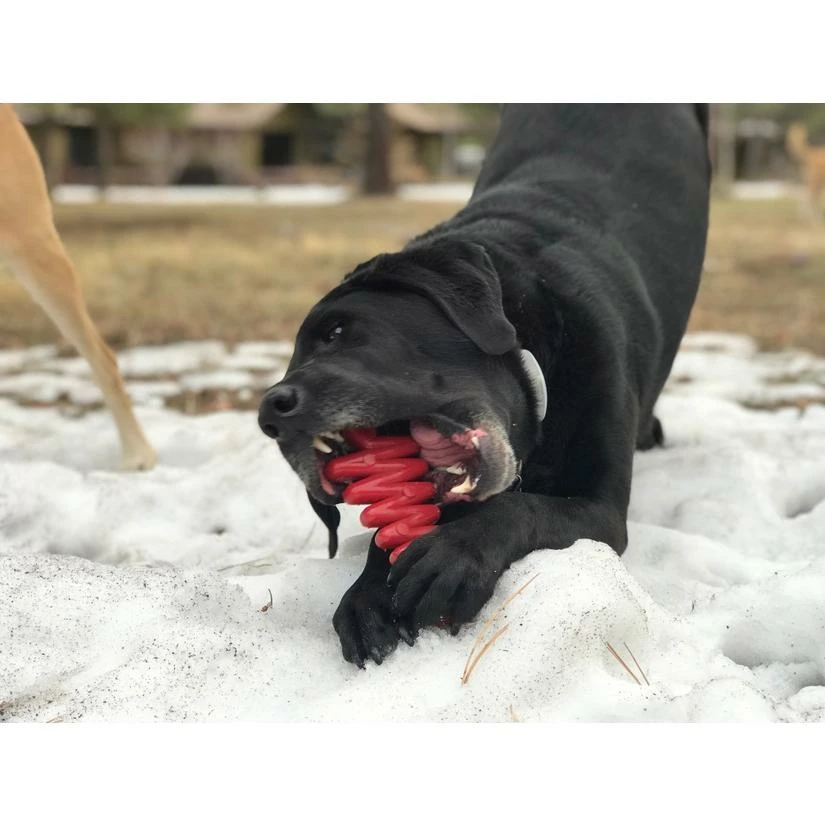 Discount 🧨 Soda Pup Xmas Tree Nylon Toy Green 👏 5 Soda Pup Xmas Tree Nylon Toy Green