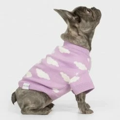 Bark And Tumble New Never Stop Dreaming Crewneck