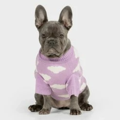 Bark And Tumble New Never Stop Dreaming Crewneck