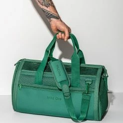 Wild One Carry Air Travel Carrier Green