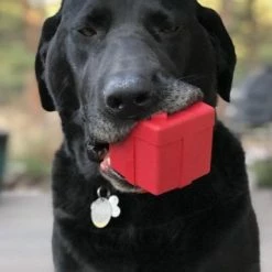 Flash Sale ⭐ Soda Pup Gift Box Rubber Toy Live 🥰 9 Soda Pup Gift Box Rubber Toy Live