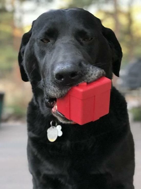 Flash Sale ⭐ Soda Pup Gift Box Rubber Toy Live 🥰 6 Soda Pup Gift Box Rubber Toy Live