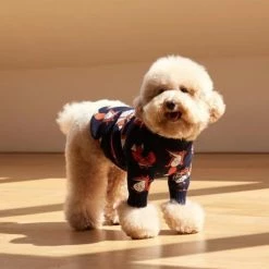 And Blank Wear Captain Fox Navy Sweater