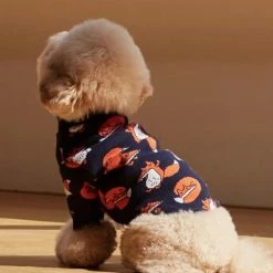 And Blank Wear Captain Fox Navy Sweater