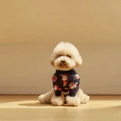 And Blank Wear Captain Fox Navy Sweater