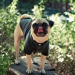 Betters Casual Corduroy Shirt