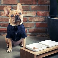 Promo β Betters Casual Denim π Shirt π 10 Betters Casual Denim Shirt