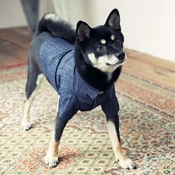 Promo β Betters Casual Denim π Shirt π 11 Betters Casual Denim Shirt